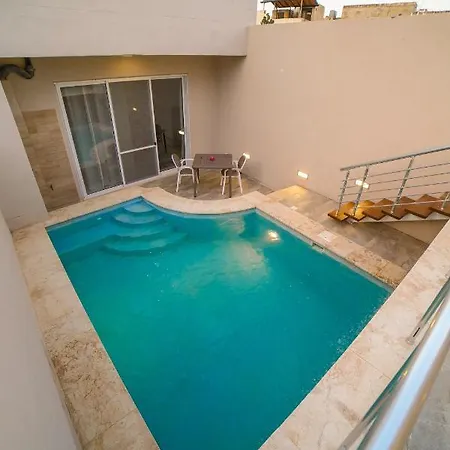 Narcisone Holiday Kerċem